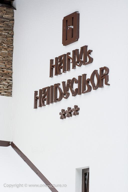 Hanul Haiducilor Obarsia-Lotrului Exteriér fotografie