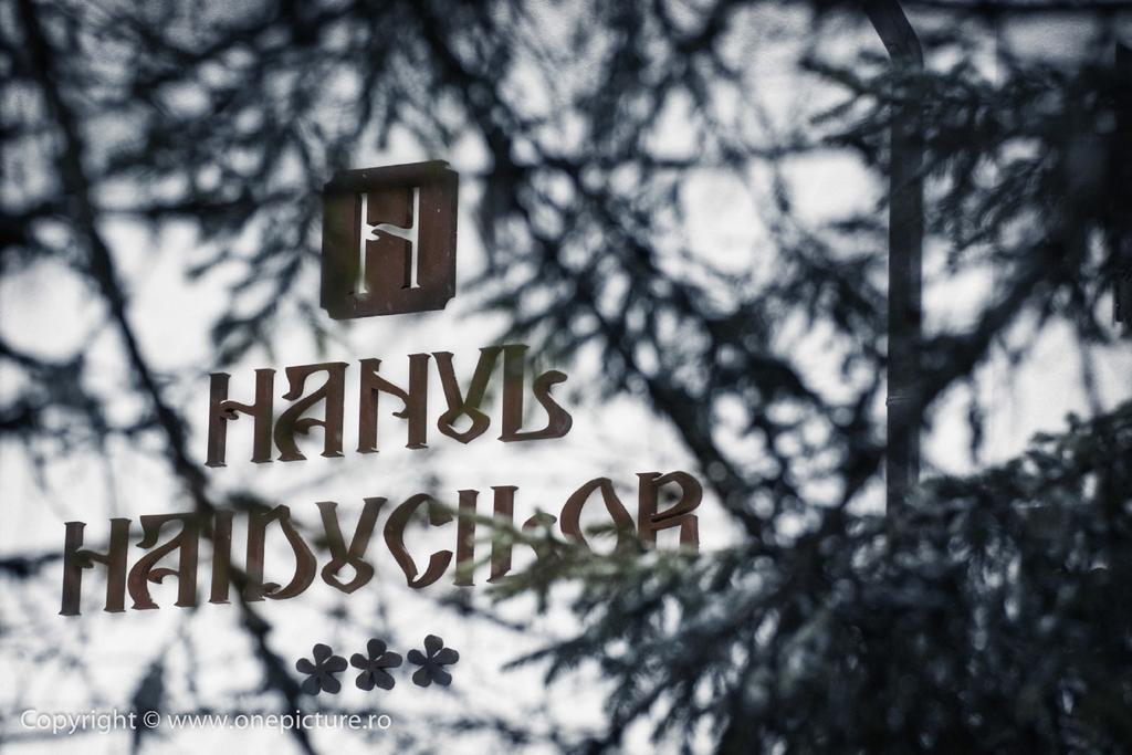 Hanul Haiducilor Obarsia-Lotrului Pokoj fotografie